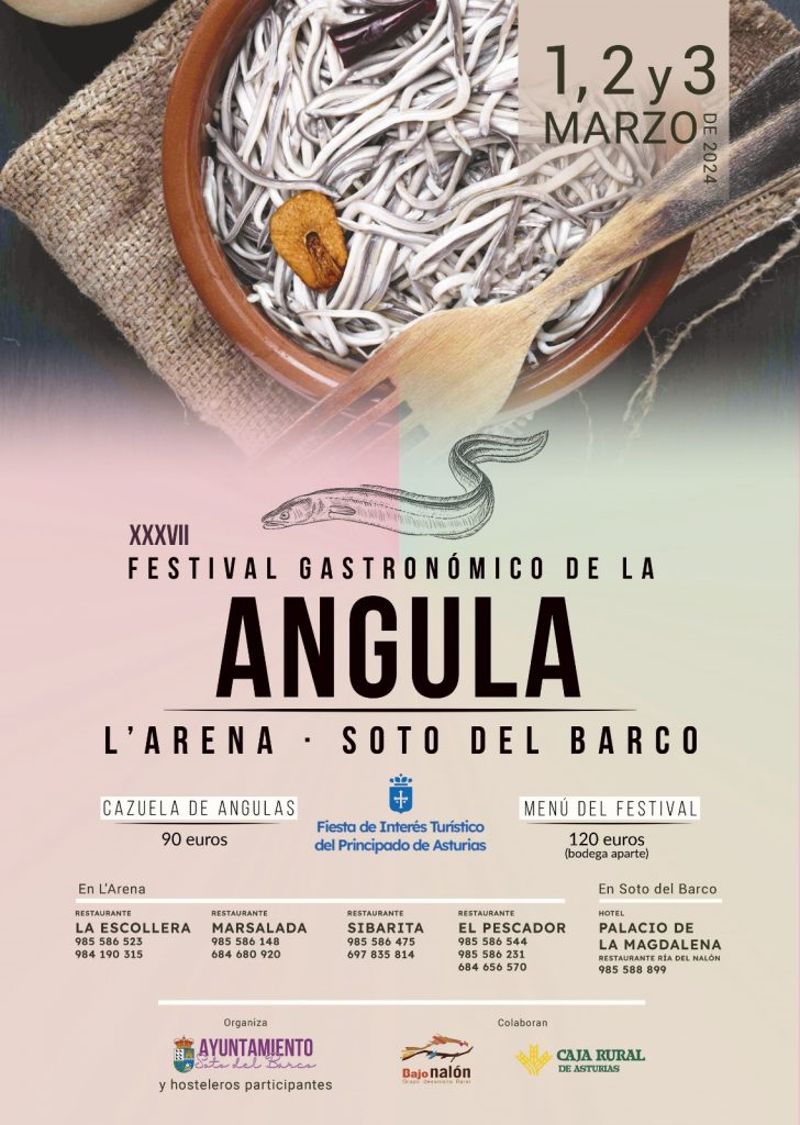 Festival-Angula